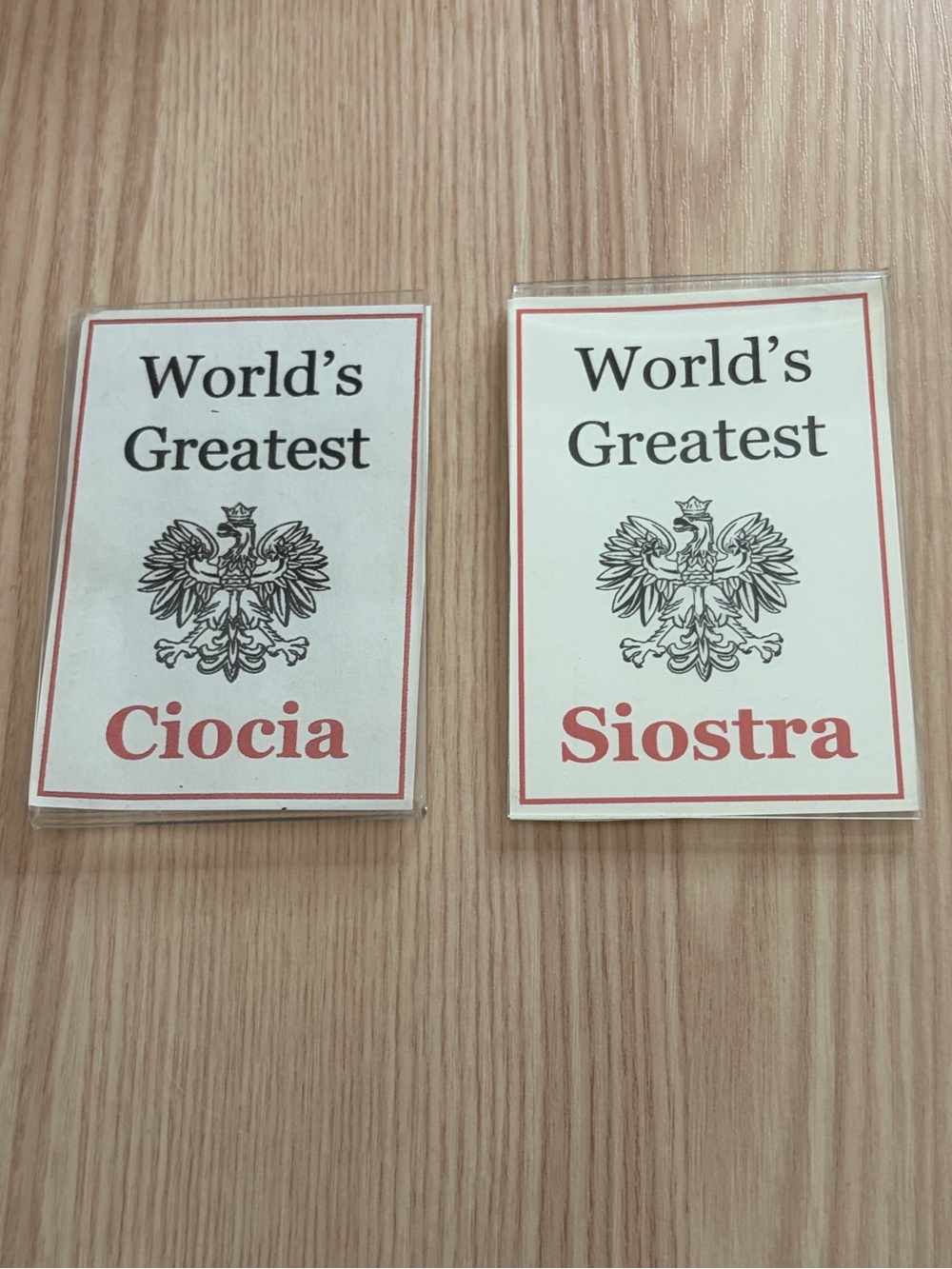 ⚡️Polish Decor Magnets • World's Greatest Sister & Aunt / Siostra & Ciocia